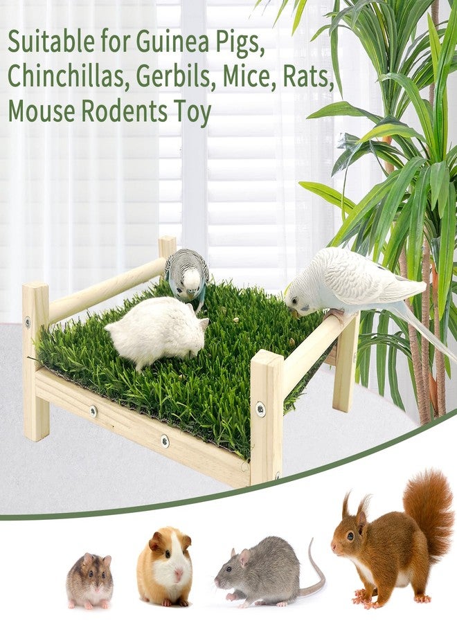 FlidRunest Wooden Rat Foraging Toys, Artificial Grass Foraging Mat for Rats, Safe Rats Enrichment Toys Activities, Boredom Relief Hanging Bed for Pet Rat - Image 2